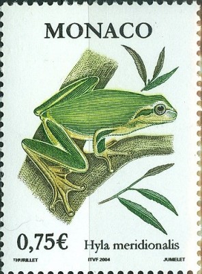 frosch 2002.jpg (104.23 KiB) 1174-mal betrachtet frosch 2002.jpg