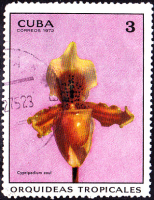 20230405_0008.jpg