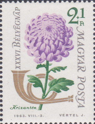 202412026_0003.jpg