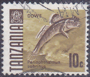 202412029.jpg