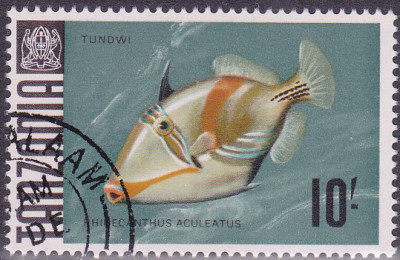 202412029_0009.jpg