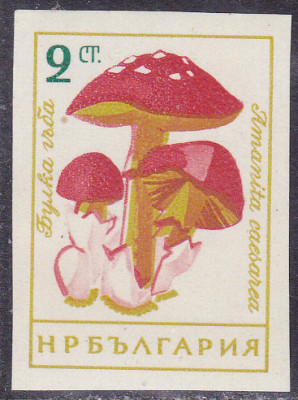 202412030_0001.jpg