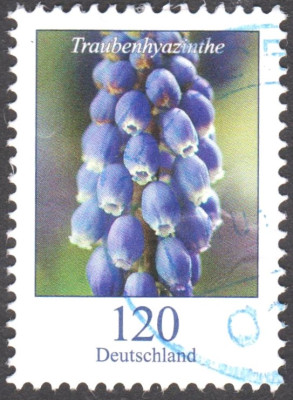 001.jpg