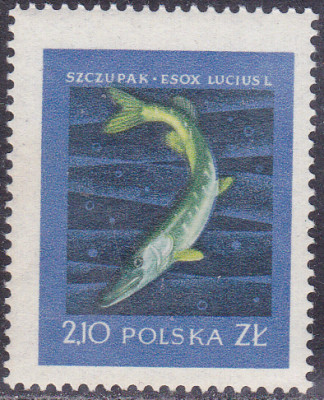 202412031_0003.jpg