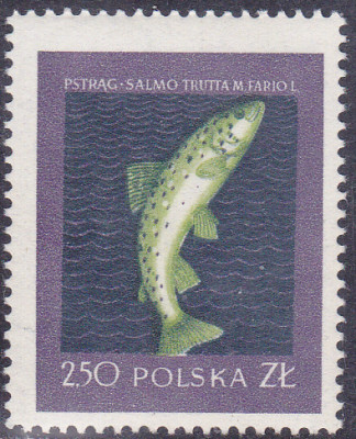 202412031_0004.jpg