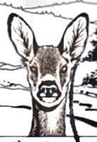 Riche1 Detail.jpg