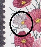 20250216_0005.jpg