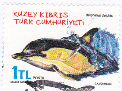 20250219_0013.jpg