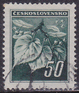 20250227_0002.jpg