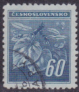 20250227_0003.jpg