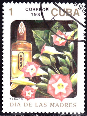 Tabak 1.jpg