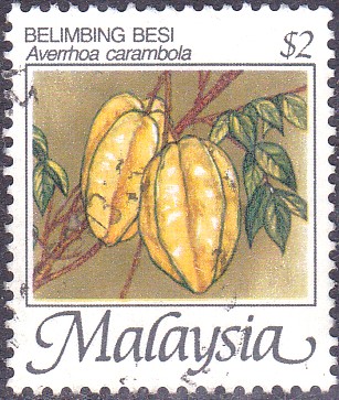 Carambole 2.jpg