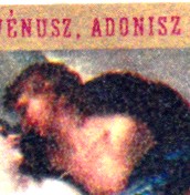 adonis1.jpg
