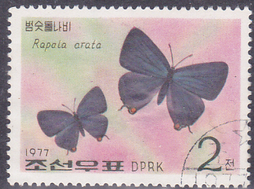 20250320_0014.jpg