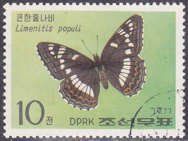 20250320_0016.jpg