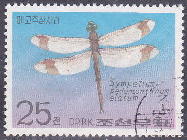 20250320_0018.jpg