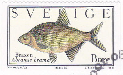20250327_0004.jpg
