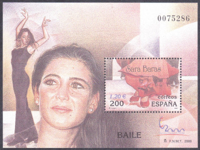 flamenco 3.jpg