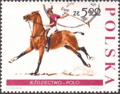 polo.jpg