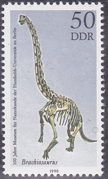 20250414_0035.jpg