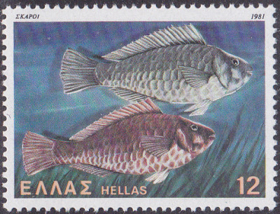 20250414_0012.jpg