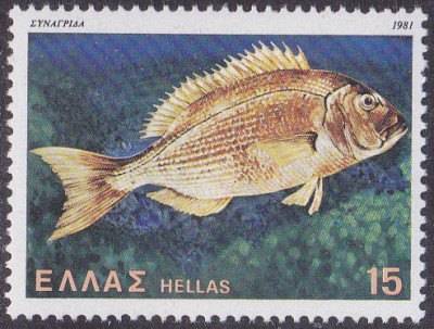 20250414_0013.jpg