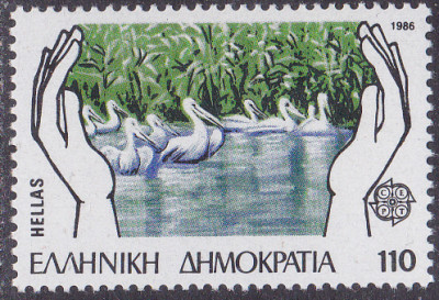 20250428_0011.jpg