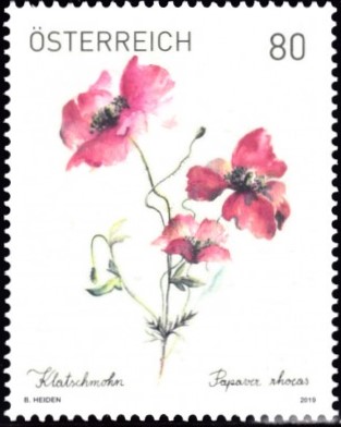 klatschmohn 3.jpg