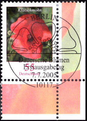 klatschmohn 2.jpg