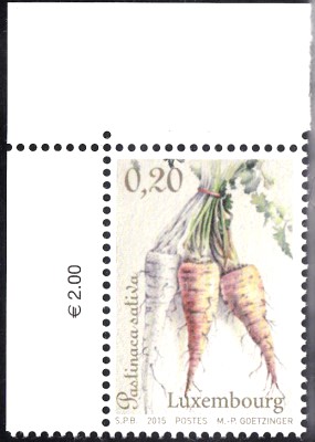 pastinake.jpg