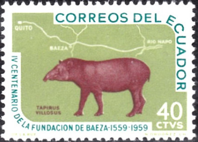 tapir.jpg