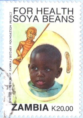 soja.jpg