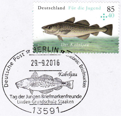 kabeljau2.jpg