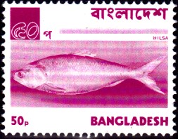 ilish.jpg
