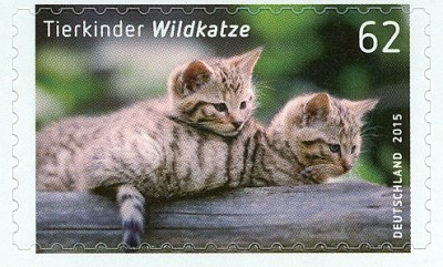 Bund-Wildkatze-62Cent-2Han2015-4.jpg