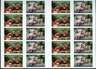 Bund-Wildkatze-62Cent-2Han2015-5.jpg