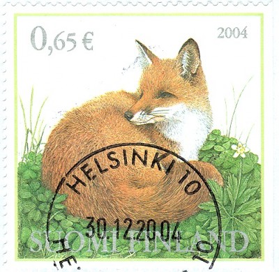 Finnland Rotfuchs.jpg