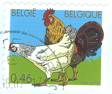 Belgien 2006 Hühner.jpg