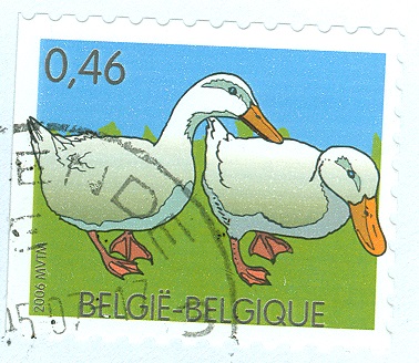 Belgien 2006 Enten.jpg