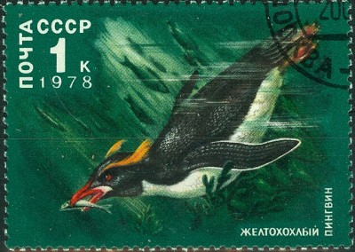 CCCP 1978 1Kop Pinguin.jpg