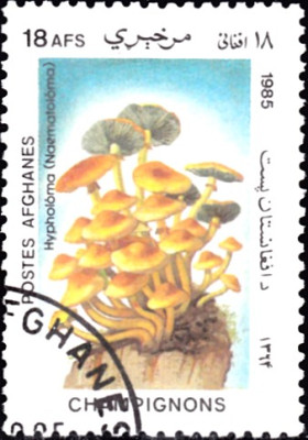 schwefelköpfe.jpg