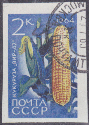 20250611.jpg