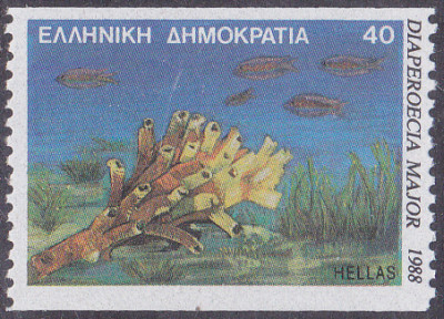 20250506_0006.jpg
