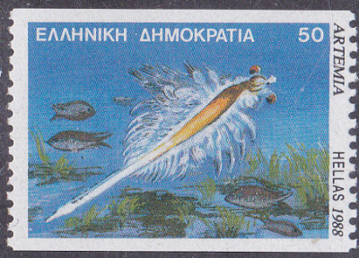 20250506_0007.jpg
