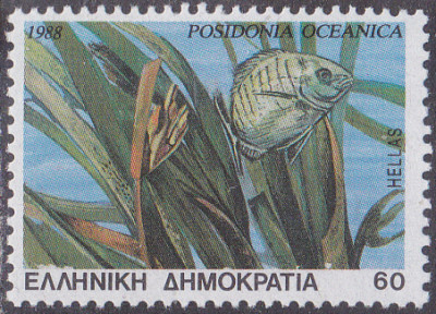20250506_0003.jpg