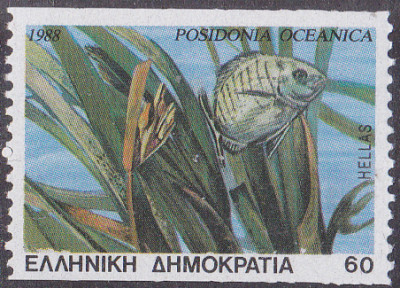 20250506_0008.jpg