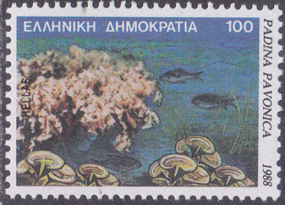20250506_0004.jpg