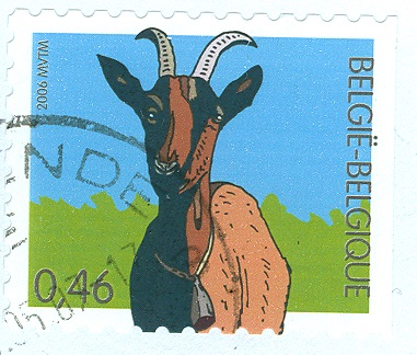 Belgien 2006 Ziege.jpg