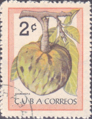 cherimoya.jpg