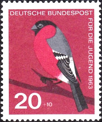 Gimpel3.jpg